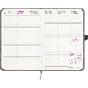 Agenda 2026 interno.webp